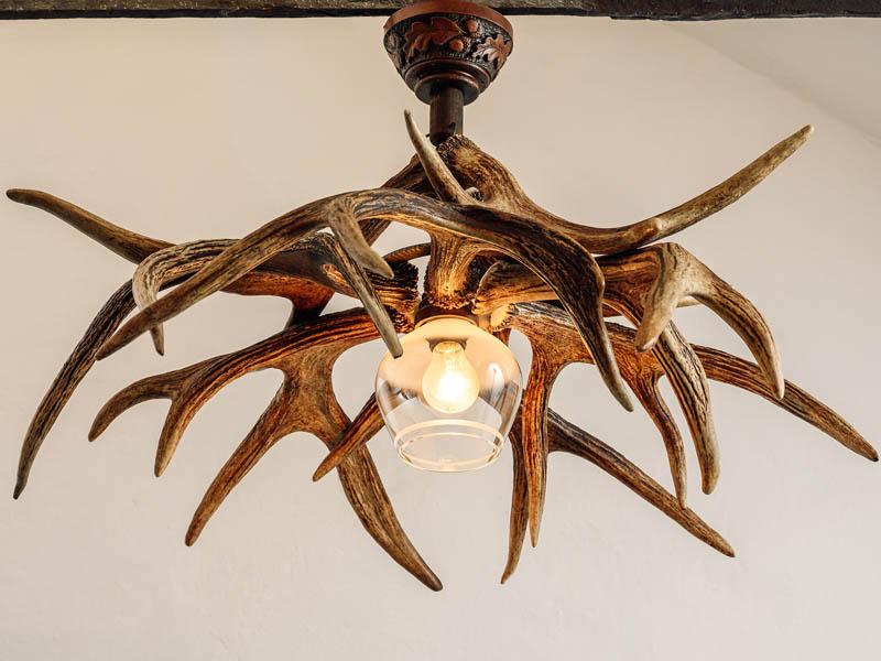 Moose cast antlers chandelier with one glass shade