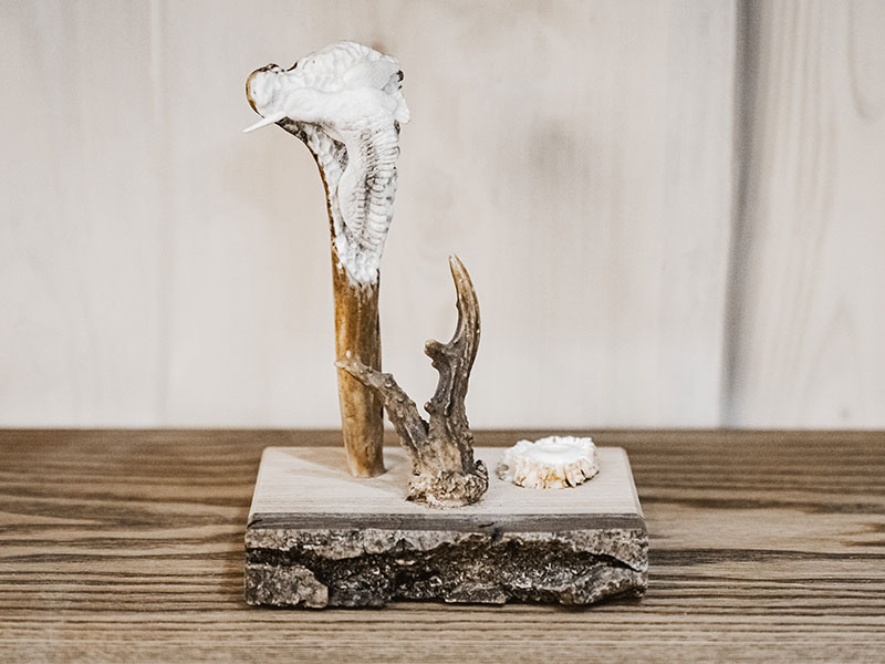 Stojan na pero - rezba sluka v parohu