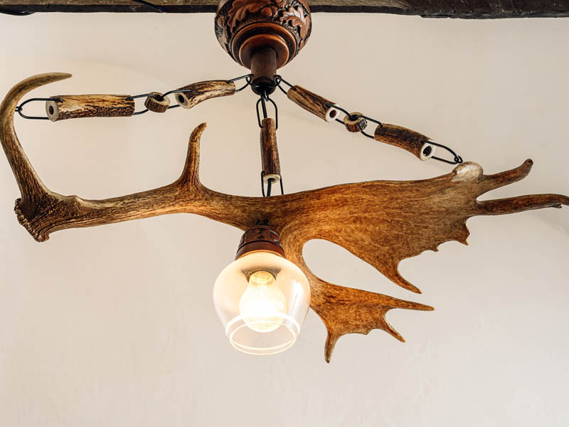 Luster D - One - 1 light down